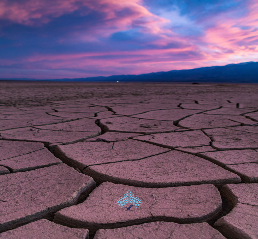 Death Valley Sunset Photography