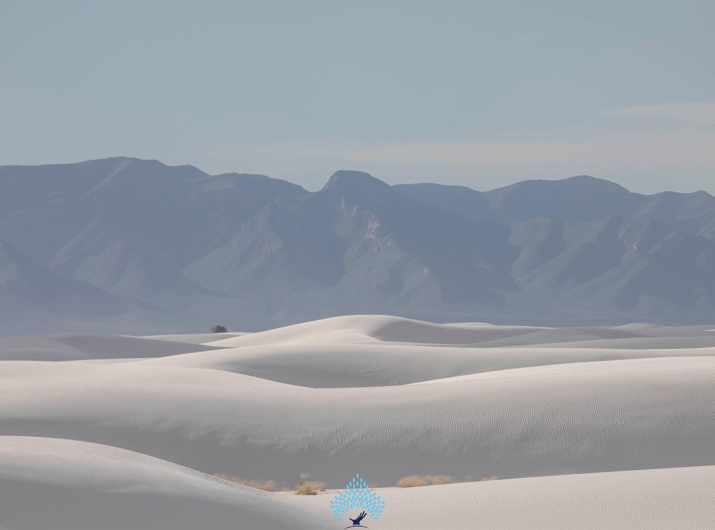 white sands desert photography