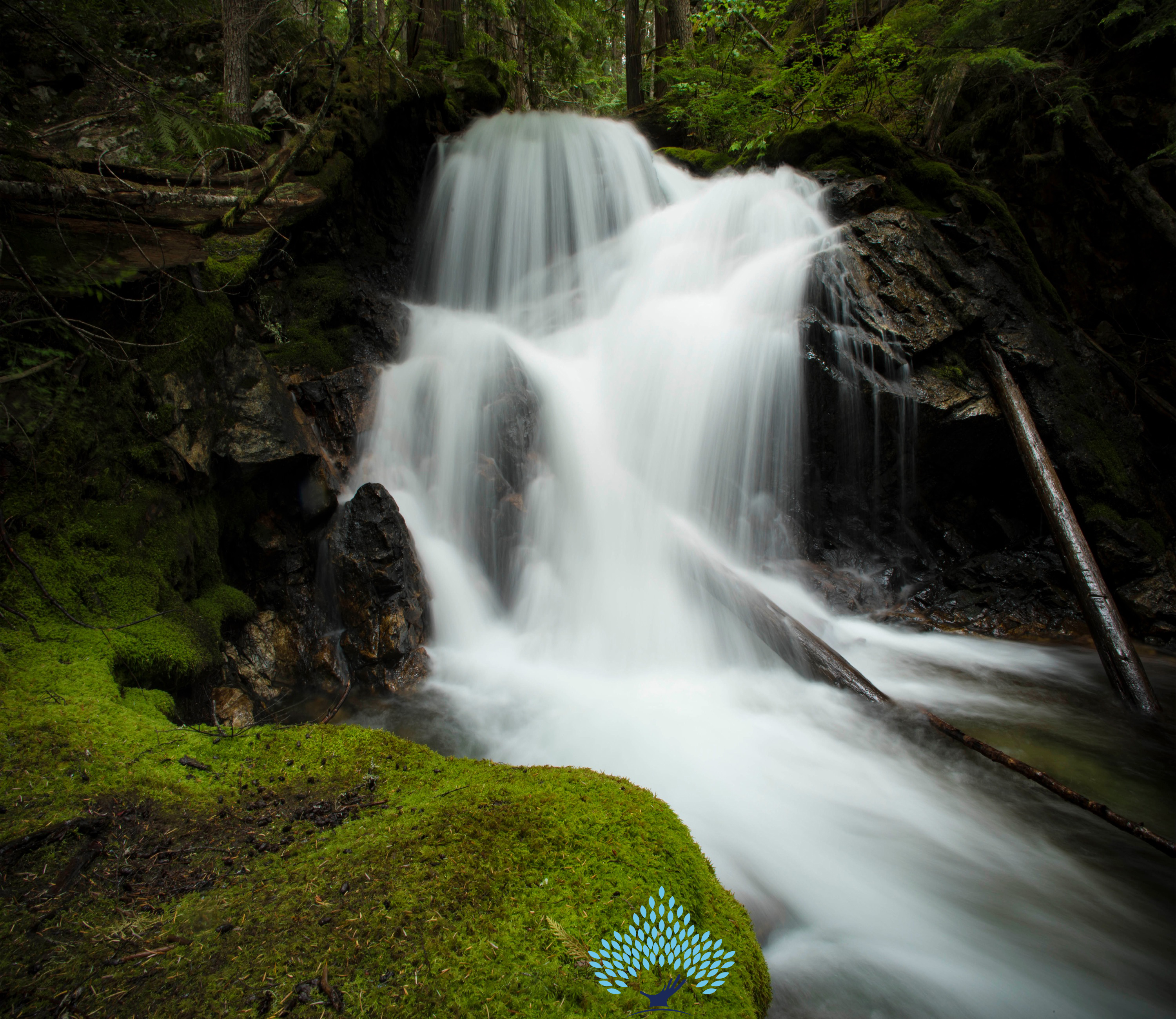 North cascades waterfall photography