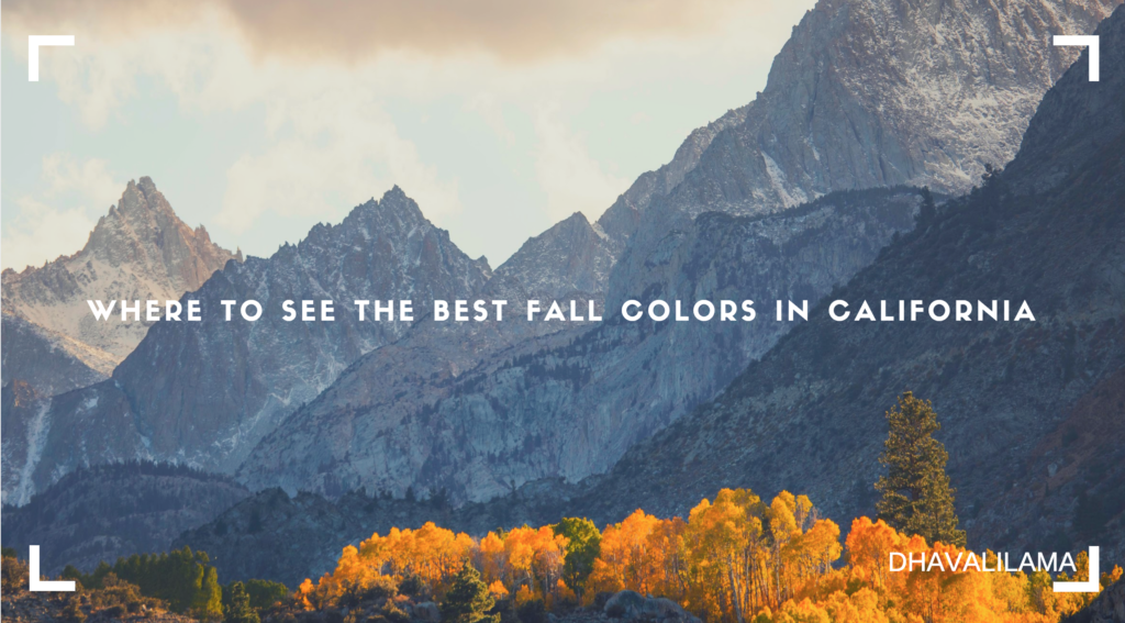 where-to-see-the-best-fall-colors-in-california