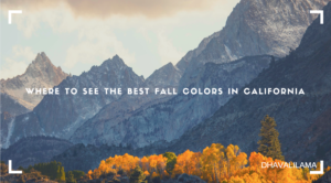 fall colors in California