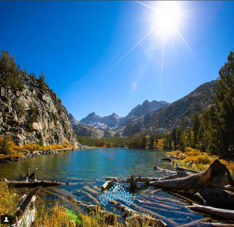 Where to See the Best Fall Colors In California