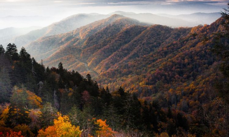 Smoky Mountains Photography