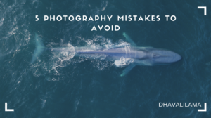 photography mistakes