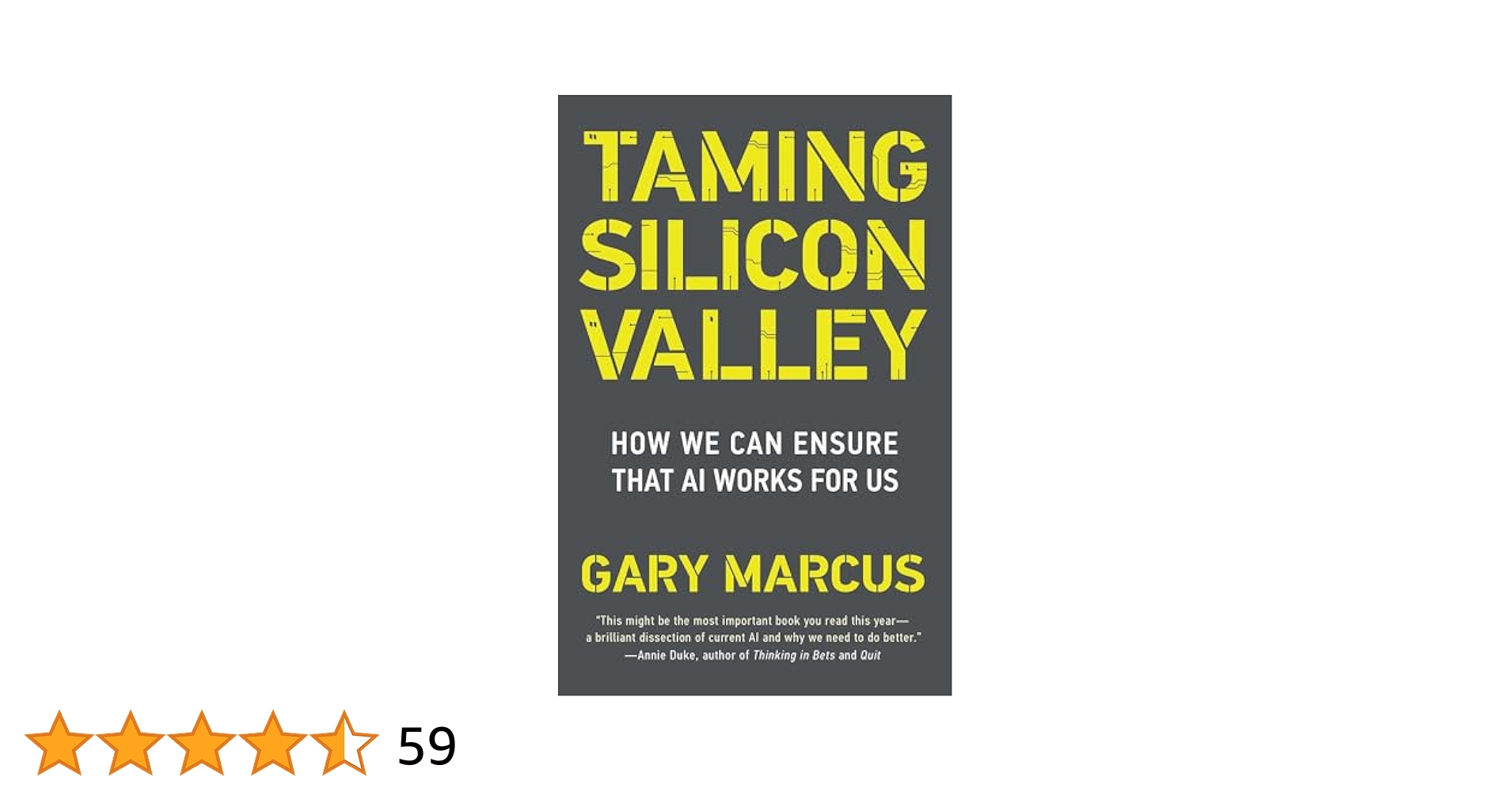 taming silicon valley