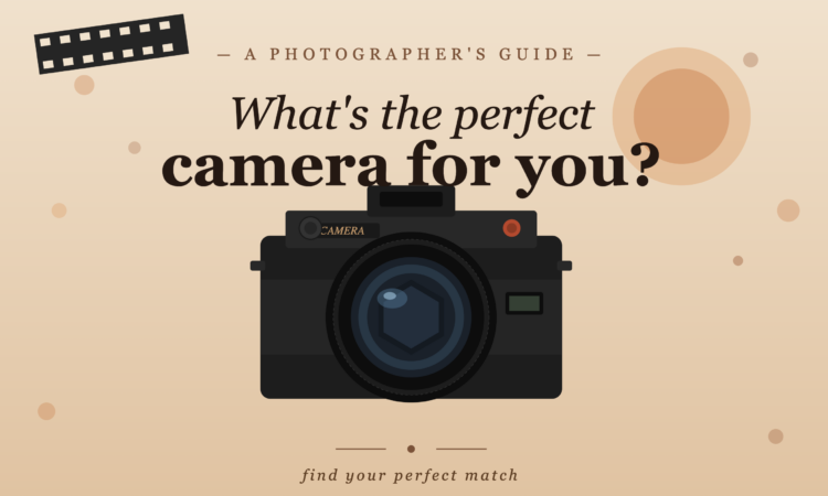 Whats the perfect camera for you